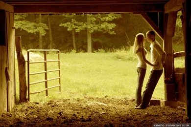 Love At First Sight Wallpapers Crazy Frankenstein