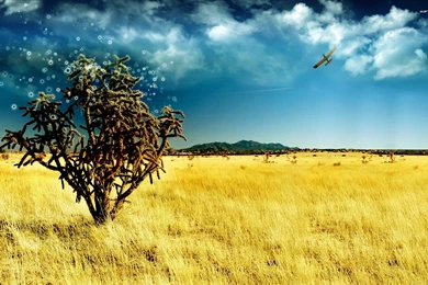 30+ High Definition Nature Wallpapers   WonderWordz