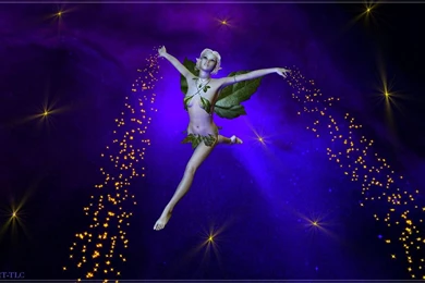 Animated HD Wallpapers Desktop