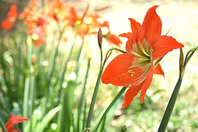 Pretty Wallpapers   Desktop Backgrounds