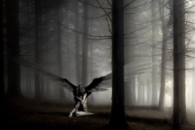 Free Fallen Angel Desktop Wallpapers 1440900