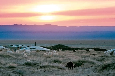 Desktop Wallpapers For Macs Free   Backgrounds For Macs With Cool ...