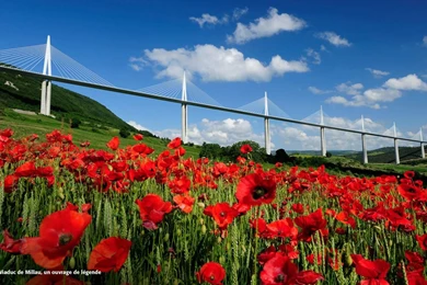 France, Viaduc De Millau 1490x900 (3 Zipped Wallpapers In Comments ...