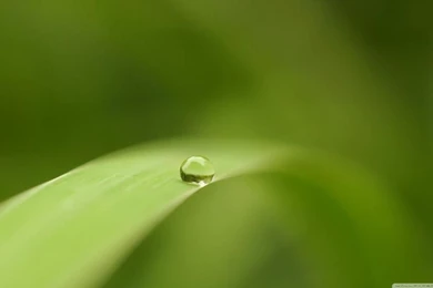 Download Wallpaper, Hd Images, Cool, Mac Desktop Photos, High ...