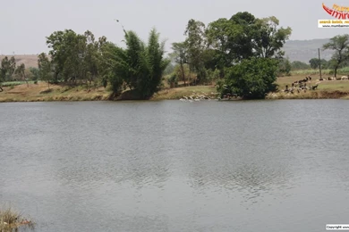 Wallpapers Mumbai Nature Free 1368x768