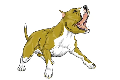 Dogs Animated Bull Pitbull Wallpapers