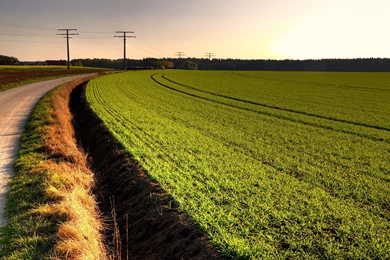 Best Morning HD Wallpapers   HD Wallpapers