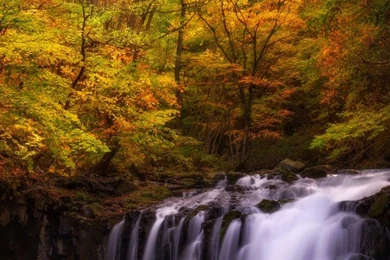 Autumn Japan HD Desktop Wallpapers : Widescreen : High Definition ...