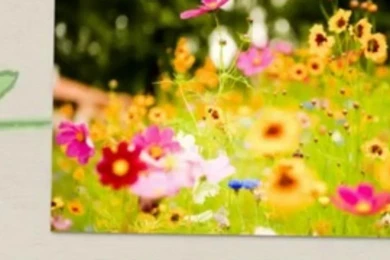 Download Free Nature HD Wallpapers   Video Dailymotion