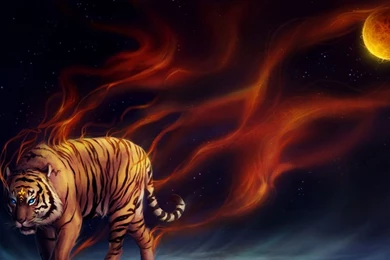 Free Wallpapers, Hd Images, Windows Wallpaper, Widescreen Photos ...