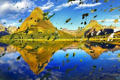 Bipasha Basu Hot HD Wallpapers, Free Download Sexy Bikini Images ...