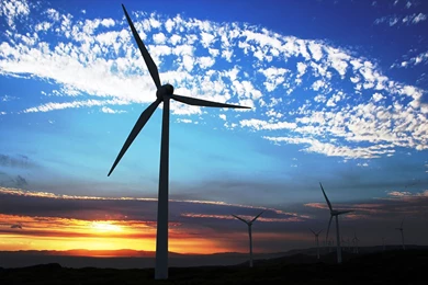 May Your Desktop Bloom With Windows Themes