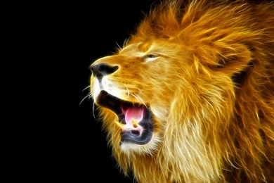 Abstract Lion Desktop Latest Wallpapers.jpg