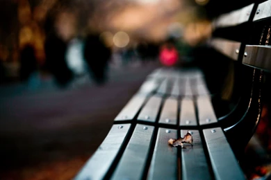 Photography Widescreen HD Wallpapers 4980   Amazing Wallpaperz