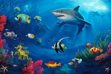 Underwater Life Mac Wallpapers Download