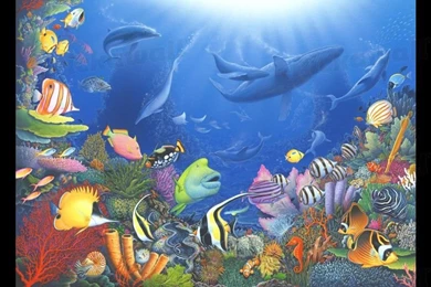 Design Your Own Custom Removable Wallpaper. Image: Underwater ...