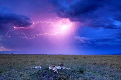 Fear Wallpapers >> Backgrounds With Quality HD