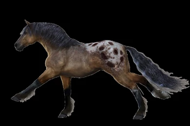 Horse_PNG339.png