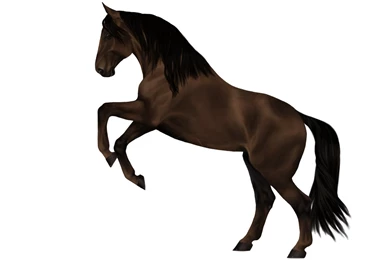 Rearing Horse By Mondpferd On DeviantArt