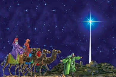 Christmas Light Kings