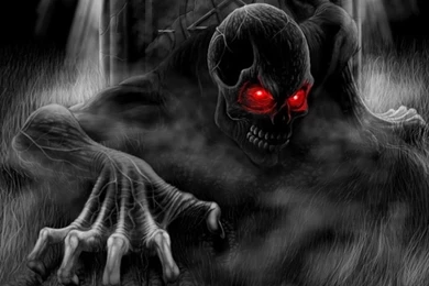 Skull Wallpapers Pack Vol 01 Download   Skull Wallpapers Pack Vol 01 ...