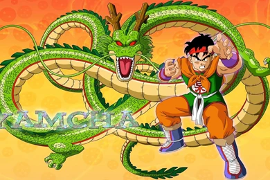 HD Yamcha Wallpapers   WallpaperIM