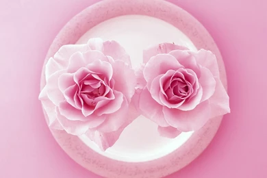 Pink Wallpapers