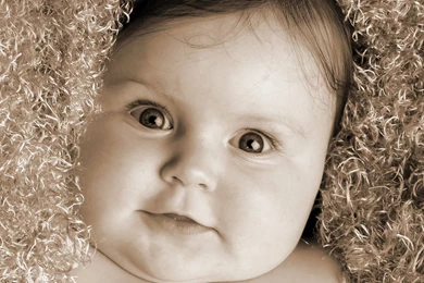 HD Baby Wallpapers   HD Images New