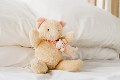 Teddy Bear Wallpapers HD Pictures