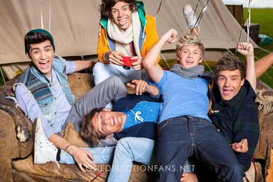 Perfect One Direction Wallpapers
