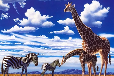 Zebras: Girafas Zebras Sky Girafes Giraffes William Schimel Animal ...