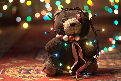 Teddy Bear Lights Wallpapers.jpg