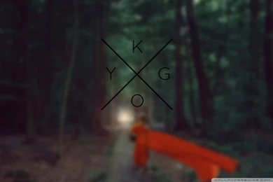 KYGO Monk In Forest HD Desktop Wallpapers : Widescreen : High ...