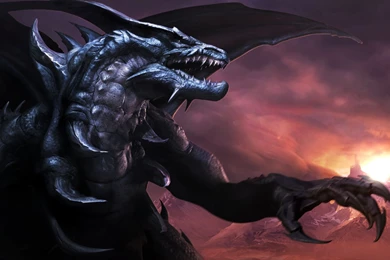 Black Dragon HD Desktop Wallpapers 10042   Amazing Wallpaperz