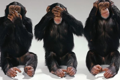 SPEAK NO EVIL SEE NO EVIL HEAR NO EVIL WALLPAPER (