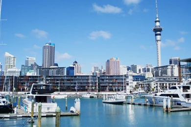New Zealand City Life   Wallpaper.