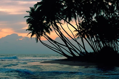 Middle East Packages Tour Sri Lanka