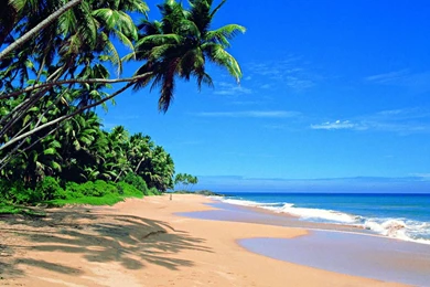 Lanka TEFL Training Institute   Things To Do