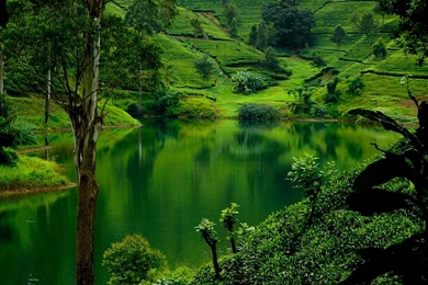 Lanka Island And Kalamazoo River