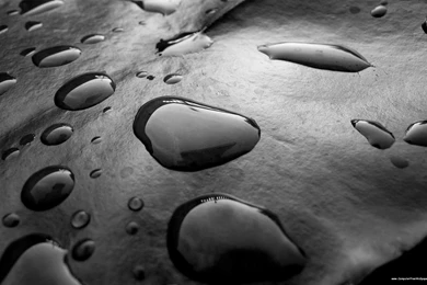 Moving Phone Wallpapers Free   Iphone Free Wallpapers