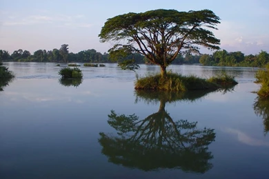 Blurry Travel Desktop Wallpapers And Backgrounds   Dambulla Buddha ...