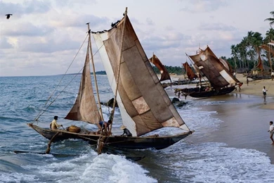 Desktop Wallpapers » Other Backgrounds » Sri Lanka » Www ...