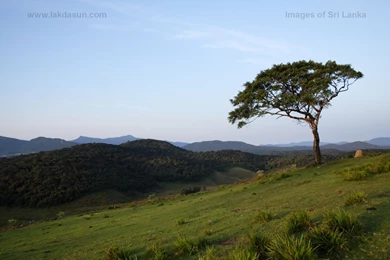Free Nature   Computer Wallpapers