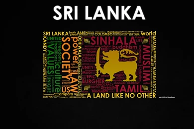 Browse Art   DeviantArt