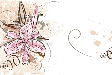 Drawn Wallpapers Vector Flower HD Wallpapers