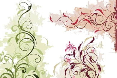 Vector Floral Ornaments Pack