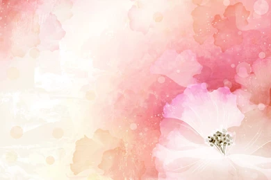 Floral Vector Wallpapers   Full HD Wallpapers Search