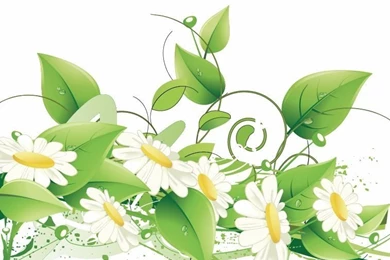 Elegant Floral Vector Backgrounds