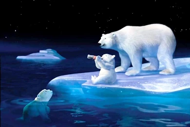 Polar Bear: Desktop Wallpapers   HDwallpaper4U.com