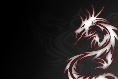 Dragon Pictures Wallpapers   Wallpapers Cave